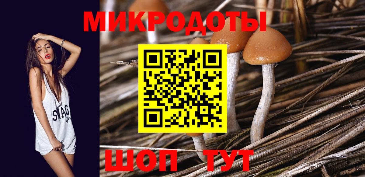 Галлюциногенные грибы прущие грибы Заводоуковск