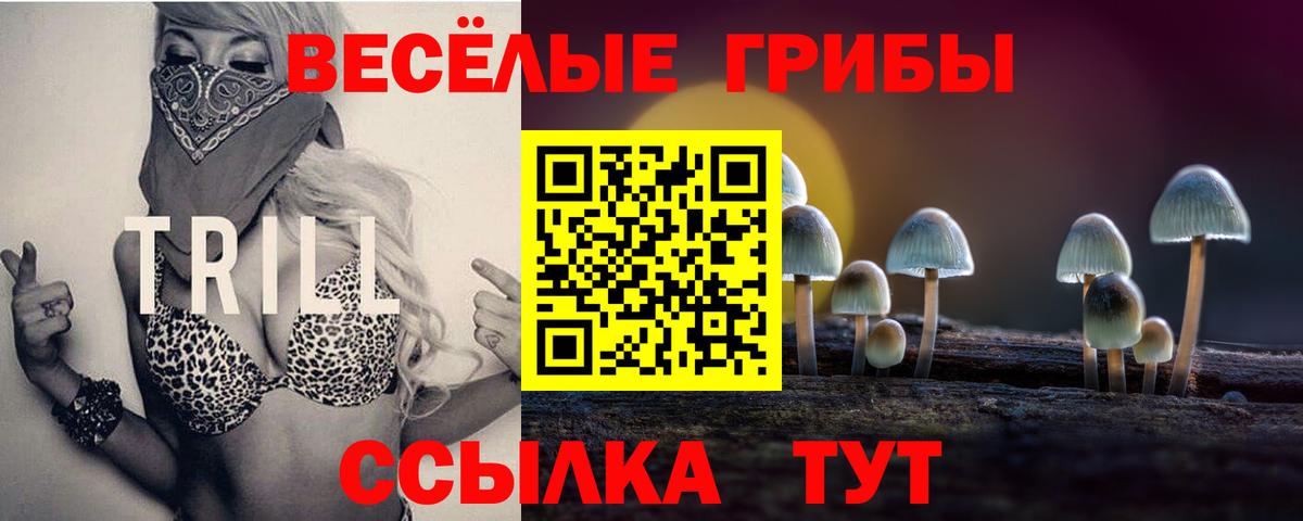 где найти наркотики  Галлюциногенные грибы GOLDEN TEACHER  Вход с VPN  Заводоуковск 